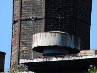 Bild: Malzfabrik K&ouml;then