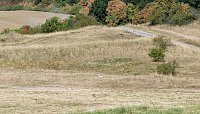 Bild: Natura 2000