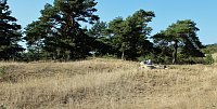 Bild: Natura 2000