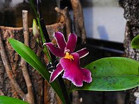 Bild: 25 Jahre Keramikscheune Spickendorf