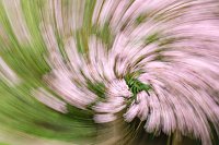 Keine Angst vor dem Herbst Bild: Keine Angst vor dem Herbst