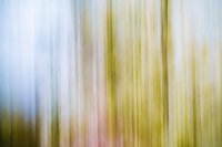 Keine Angst vor dem Herbst Bild: Keine Angst vor dem Herbst