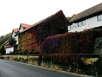 Bild: Peter Blei unterwegs in Altenbrak