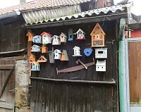 Bild: Peter Blei unterwegs in Altenbrak