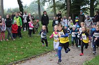 Stadtparklauf Bild: Stadtparklauf