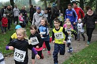 Stadtparklauf Bild: Stadtparklauf