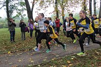Stadtparklauf Bild: Stadtparklauf