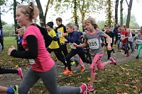 Stadtparklauf Bild: Stadtparklauf