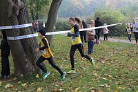 Stadtparklauf Bild: Stadtparklauf