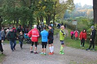 Die langen Strecken beim Stadtparklauf Bild: Die langen Strecken beim Stadtparklauf
