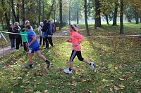 Die langen Strecken beim Stadtparklauf Bild: Die langen Strecken beim Stadtparklauf