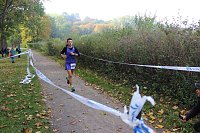 Die langen Strecken beim Stadtparklauf Bild: Die langen Strecken beim Stadtparklauf