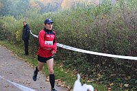 Die langen Strecken beim Stadtparklauf Bild: Die langen Strecken beim Stadtparklauf