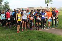 Die langen Strecken beim Stadtparklauf Bild: Die langen Strecken beim Stadtparklauf