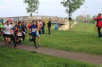 Die langen Strecken beim Stadtparklauf Bild: Die langen Strecken beim Stadtparklauf