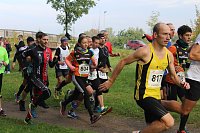 Die langen Strecken beim Stadtparklauf Bild: Die langen Strecken beim Stadtparklauf