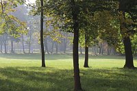 Die langen Strecken beim Stadtparklauf Bild: Die langen Strecken beim Stadtparklauf