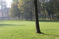 Die langen Strecken beim Stadtparklauf Bild: Die langen Strecken beim Stadtparklauf