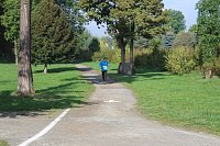 Die langen Strecken beim Stadtparklauf Bild: Die langen Strecken beim Stadtparklauf