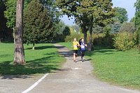 Die langen Strecken beim Stadtparklauf Bild: Die langen Strecken beim Stadtparklauf