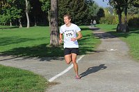 Die langen Strecken beim Stadtparklauf Bild: Die langen Strecken beim Stadtparklauf