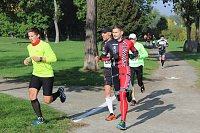 Die langen Strecken beim Stadtparklauf Bild: Die langen Strecken beim Stadtparklauf