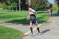 Die langen Strecken beim Stadtparklauf Bild: Die langen Strecken beim Stadtparklauf