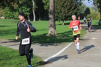 Die langen Strecken beim Stadtparklauf Bild: Die langen Strecken beim Stadtparklauf