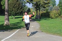 Die langen Strecken beim Stadtparklauf Bild: Die langen Strecken beim Stadtparklauf