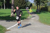 Die langen Strecken beim Stadtparklauf Bild: Die langen Strecken beim Stadtparklauf