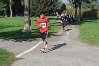 Die langen Strecken beim Stadtparklauf Bild: Die langen Strecken beim Stadtparklauf