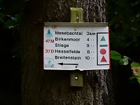 Bild: Unterwegs im sch&ouml;nen Harz