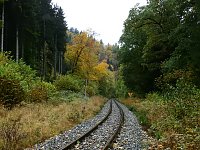 Bild: Unterwegs im sch&ouml;nen Harz