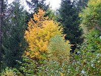 Bild: Unterwegs im sch&ouml;nen Harz