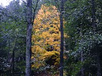 Bild: Unterwegs im sch&ouml;nen Harz