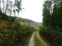 Bild: Unterwegs im sch&ouml;nen Harz