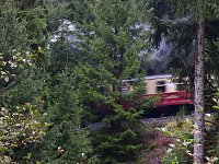 Bild: Unterwegs im sch&ouml;nen Harz