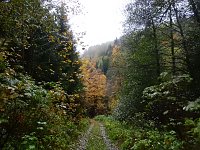 Bild: Unterwegs im sch&ouml;nen Harz