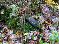 Bild: Unterwegs im sch&ouml;nen Harz