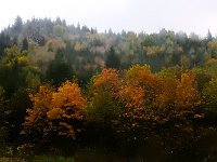 Bild: Unterwegs im sch&ouml;nen Harz