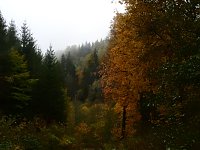 Bild: Unterwegs im sch&ouml;nen Harz