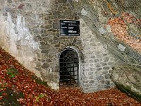 Bild: Spaziergang in Treseburg