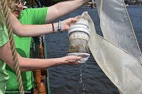 Proben zeigen Belastung der Flüsse Bild: Proben zeigen Belastung der Flüsse