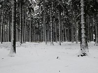 Bild: Unterwegs im winterlichen Harz