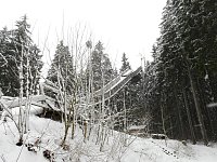 Bild: Unterwegs im winterlichen Harz