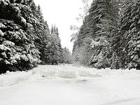 Bild: Unterwegs im winterlichen Harz