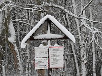 Bild: Unterwegs im winterlichen Harz