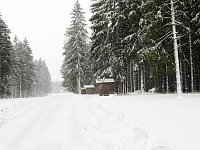 Bild: Unterwegs im winterlichen Harz