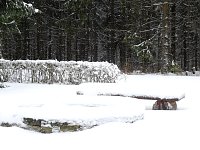 Bild: Unterwegs im winterlichen Harz