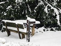 Bild: Unterwegs im winterlichen Harz